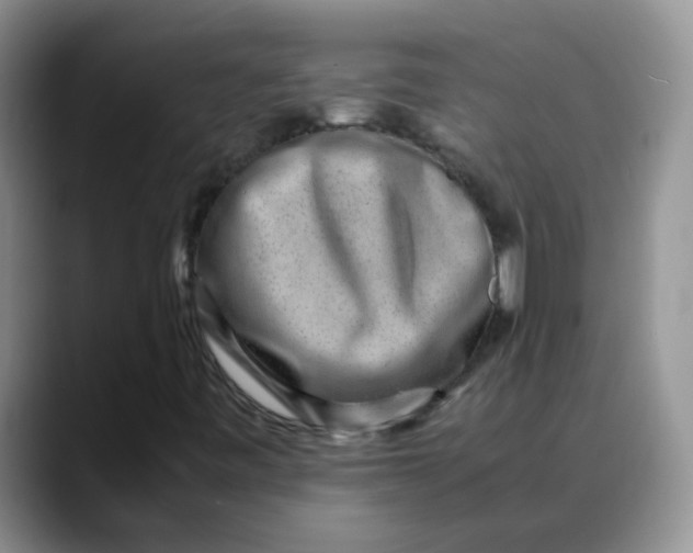 X0000088441443200706121500