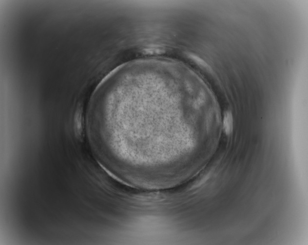 X0000088441444200706121500