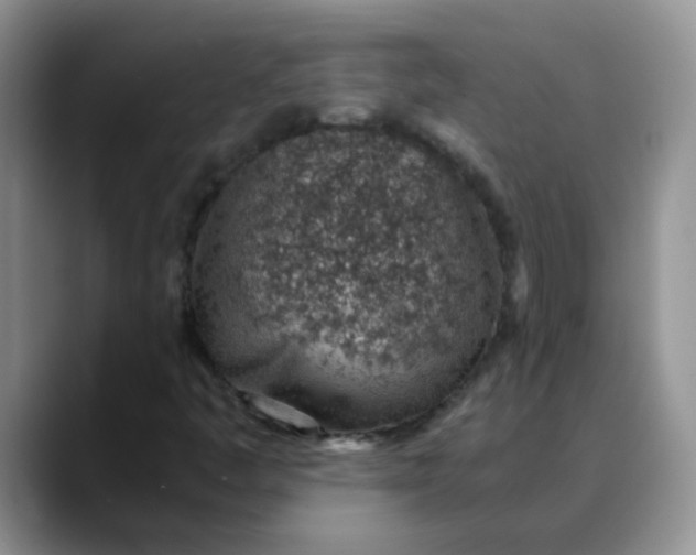 X0000088441445200706121500