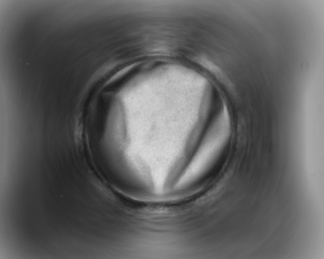 X0000088441450200706121500