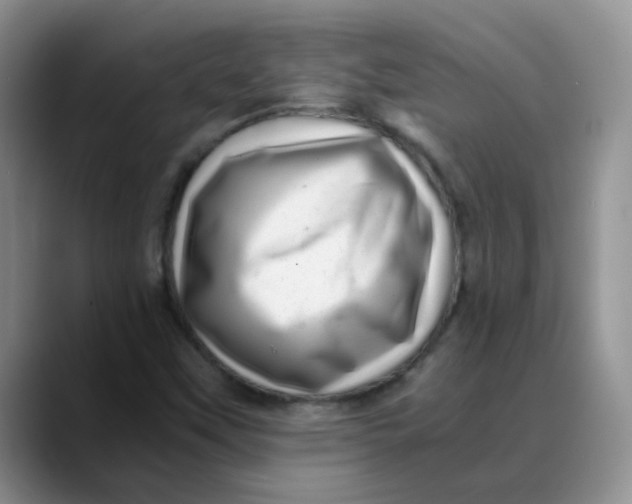X0000088441451200706121500
