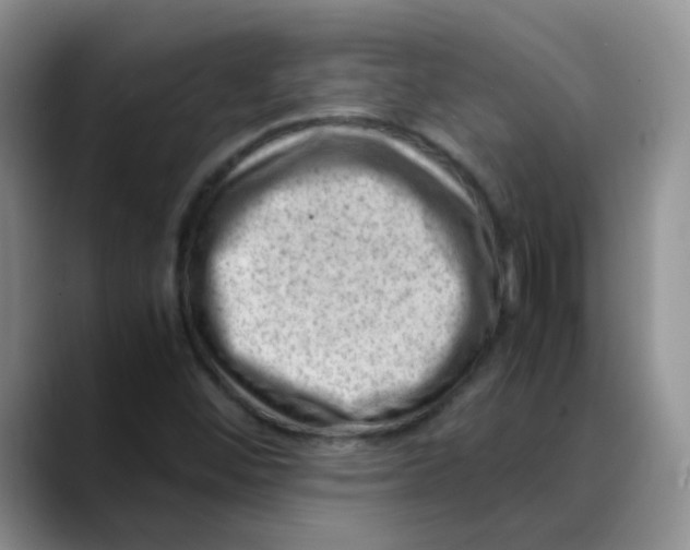 X0000088441452200706121500