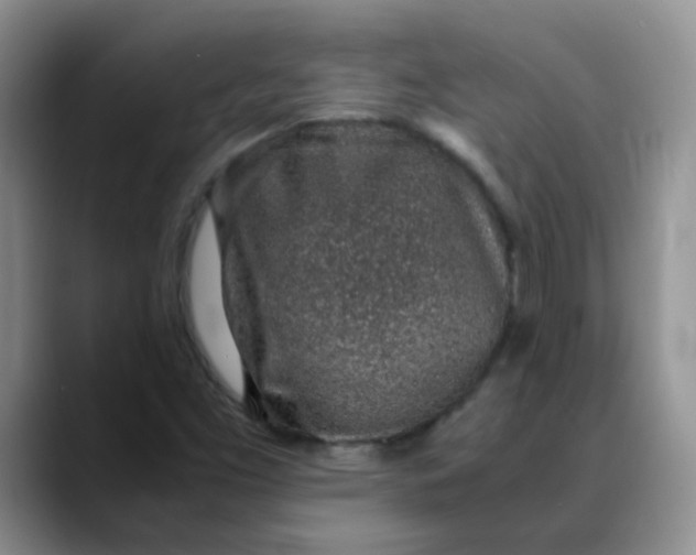 X0000088441453200706121500