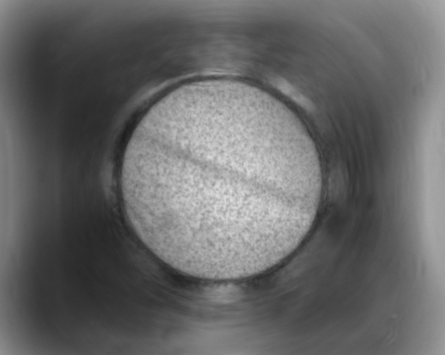 X0000088441454200706121500