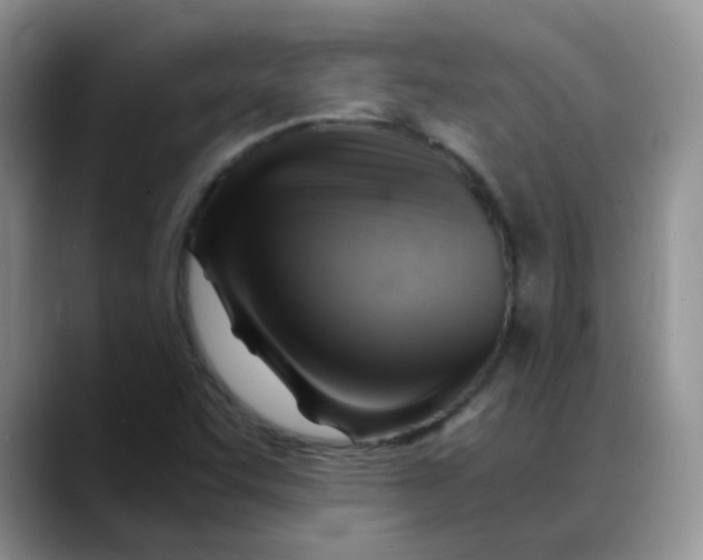 X0000088441455200706121500