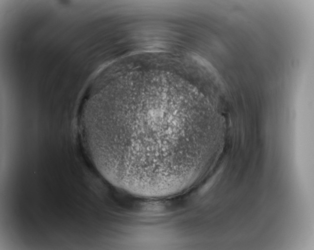 X0000088441457200706121500