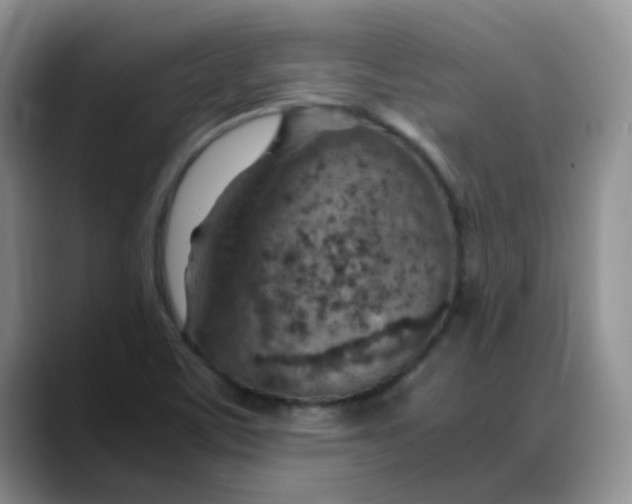 X0000088441459200706121500
