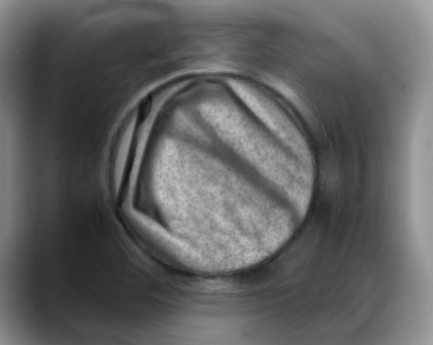 X0000088441460200706121500