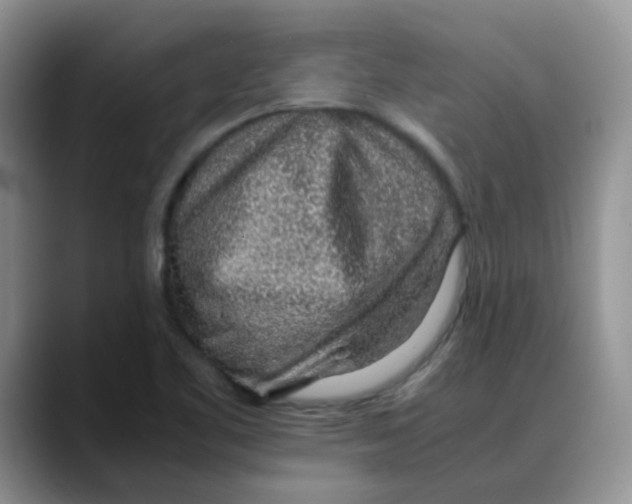 X0000088441461200706121500