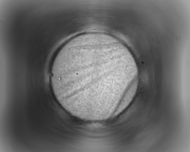 X0000088441462200706121500