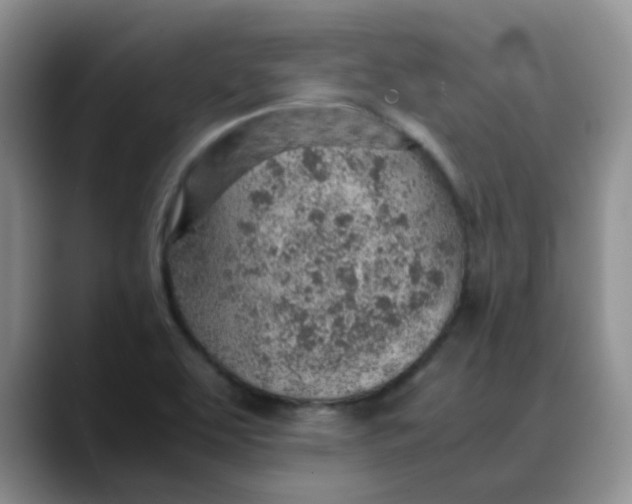 X0000088441463200706121500
