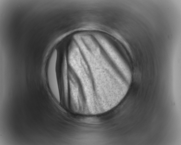 X0000088441464200706121500