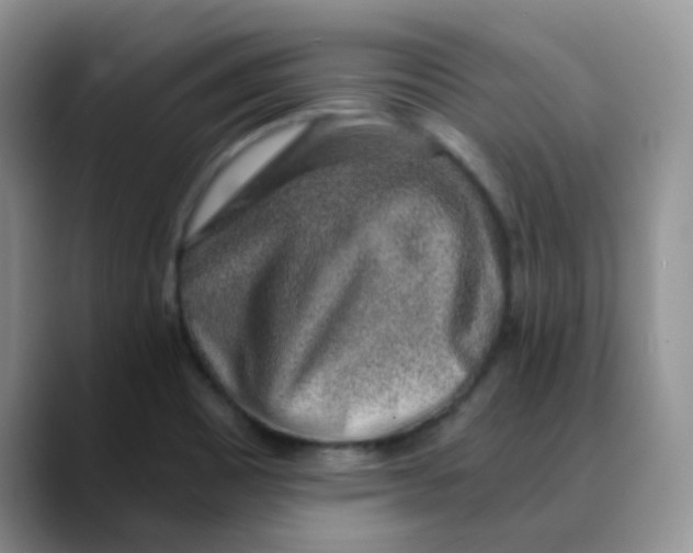 X0000088441465200706121500
