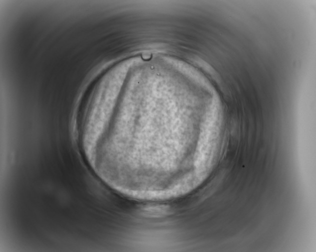 X0000088441466200706121500