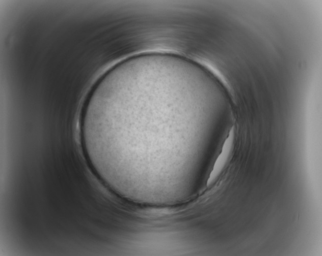 X0000088441468200706121500