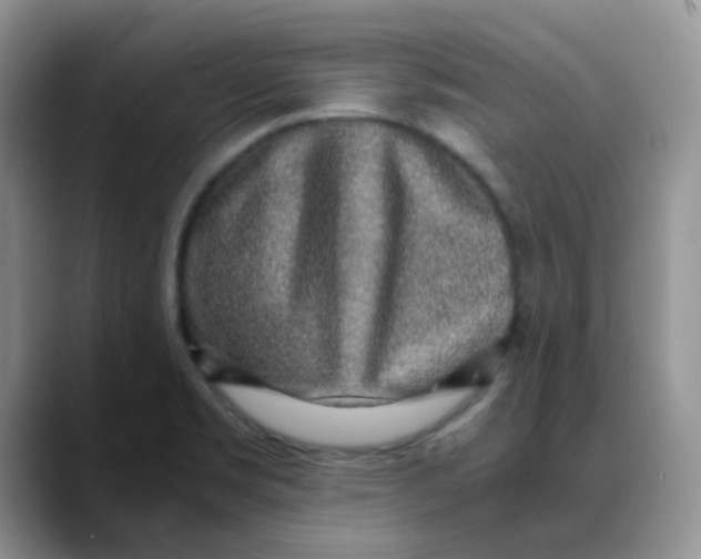 X0000088441469200706121500
