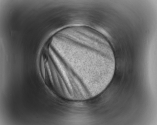 X0000088441472200706121500