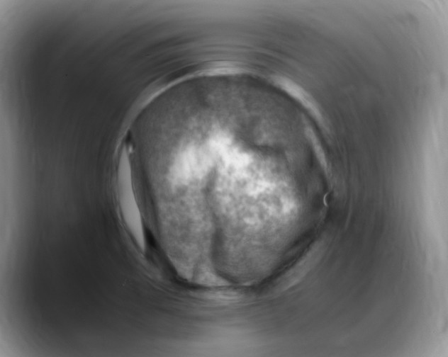 X0000088441473200706121500