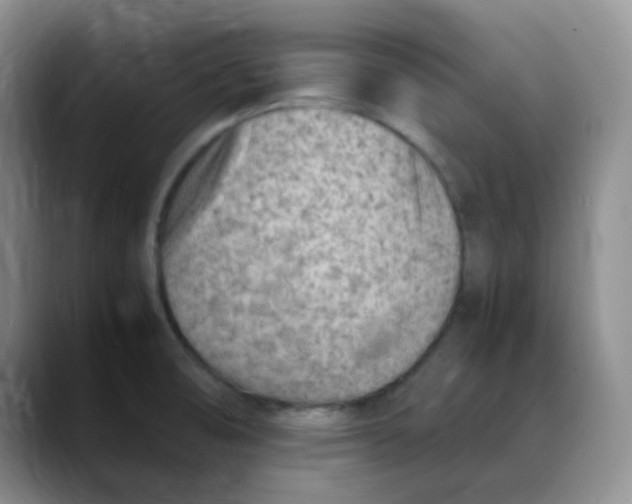X0000088441474200706121500