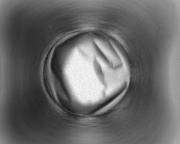 X0000088441475200706121500