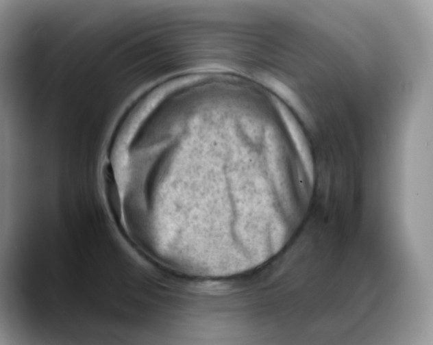 X0000088441476200706121500