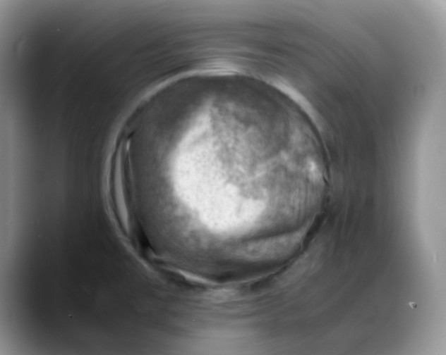 X0000088441477200706121500