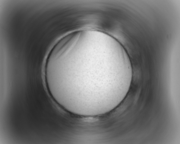 X0000088441478200706121500