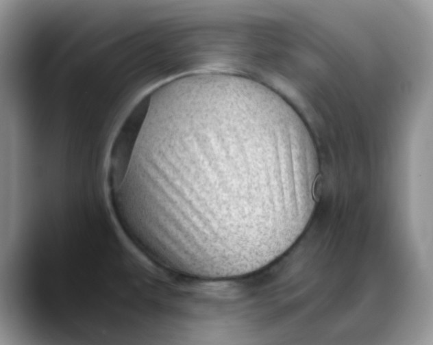 X0000088441479200706121500