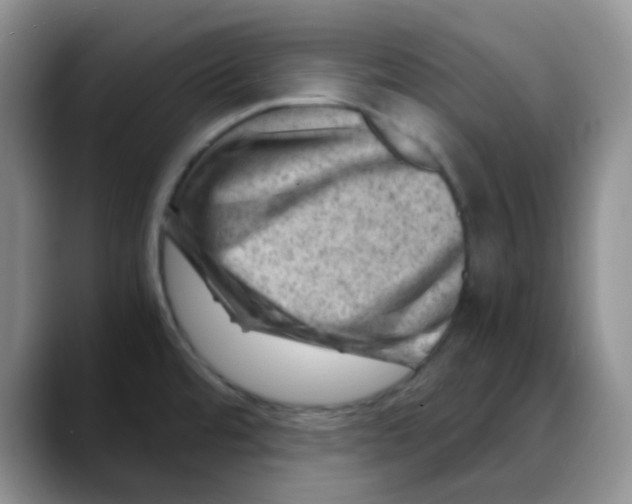X0000088441480200706121500