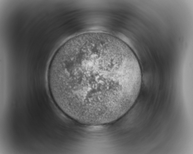 X0000088441482200706121500