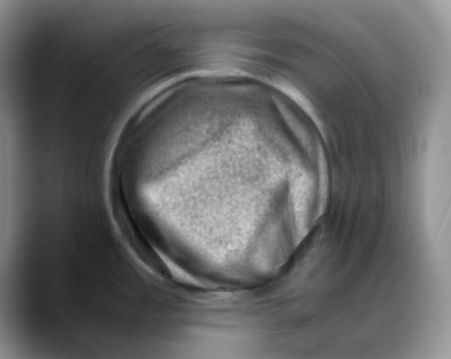 X0000088441485200706121500