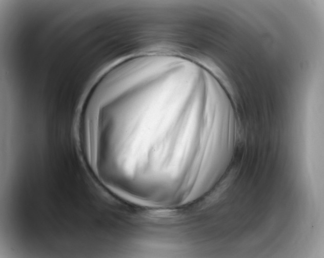 X0000088441486200706121500