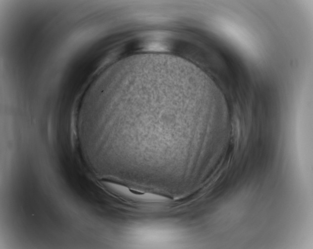 X0000088441487200706121500