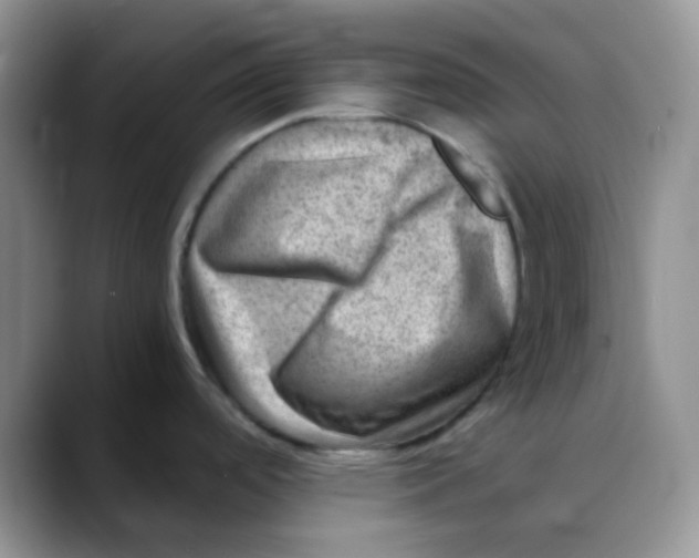 X0000088441488200706121500