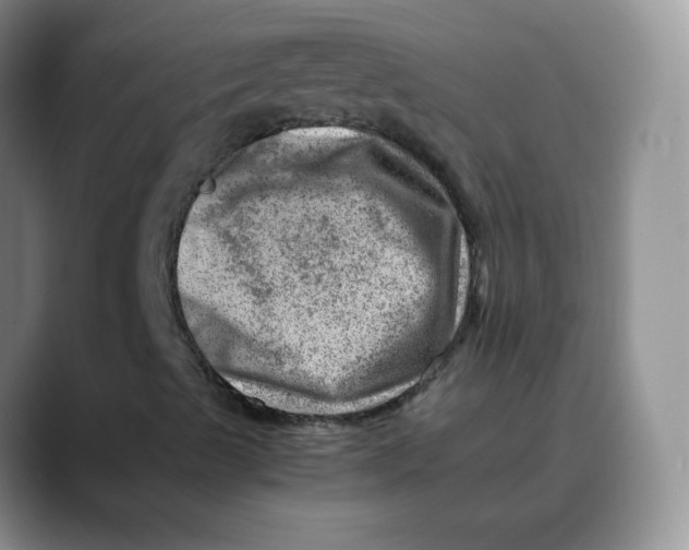 X0000088441489200706121459