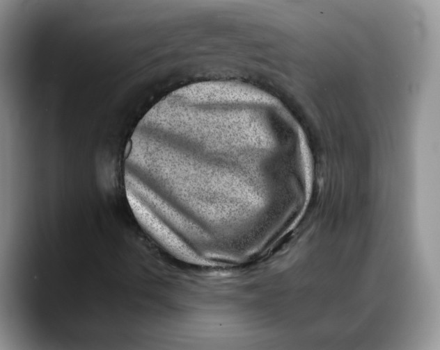 X0000088441490200706121459