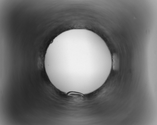 X0000088441491200706121459