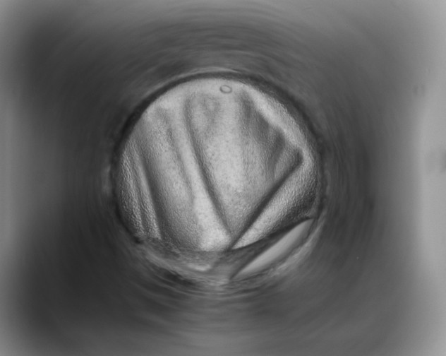 X0000088441497200706121459