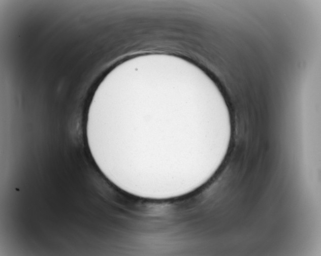 X0000088441498200706121459