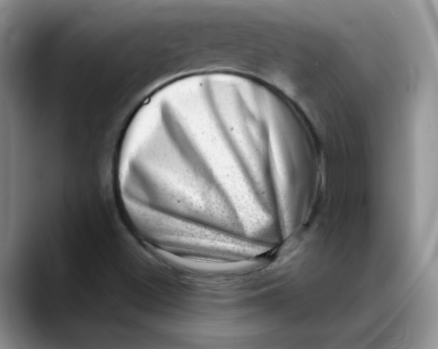X0000088441500200706121459