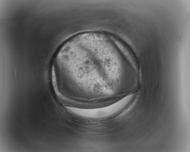 X0000088441501200706121459