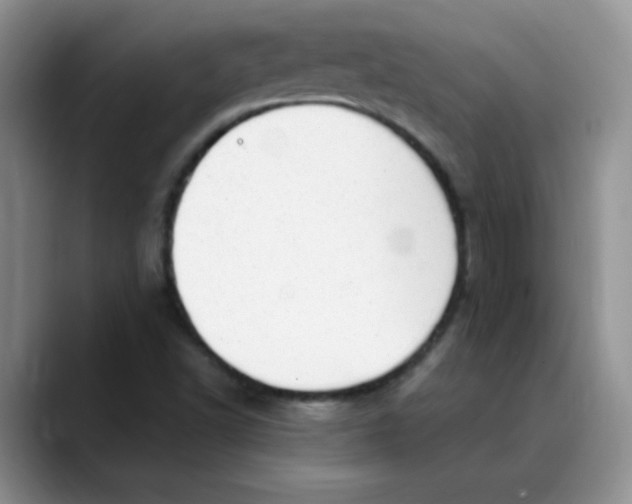 X0000088441502200706121459
