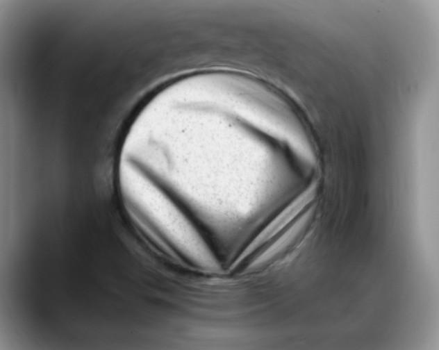 X0000088441503200706121459