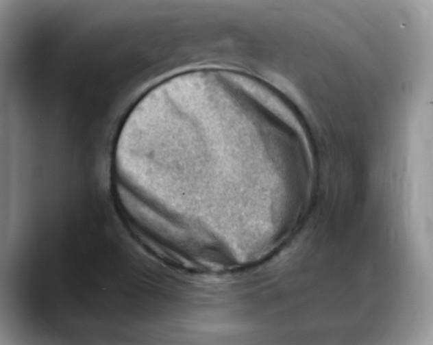 X0000088441504200706121459