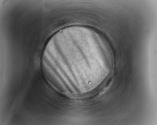 X0000088441505200706121459