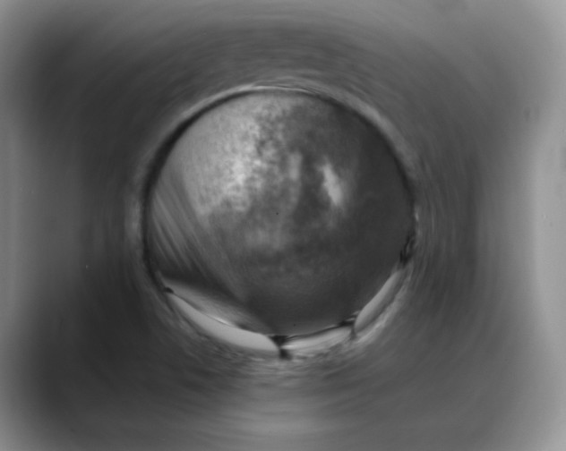 X0000088441506200706121459