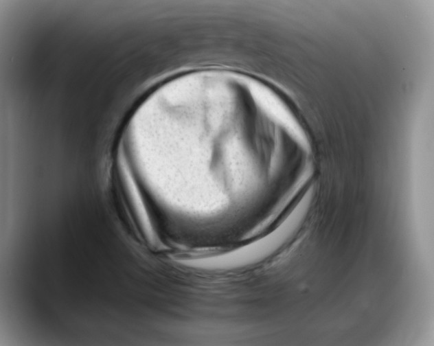 X0000088441507200706121459