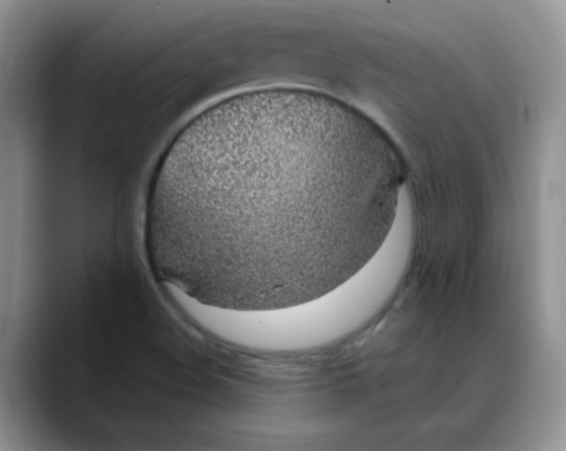 X0000088441508200706121459