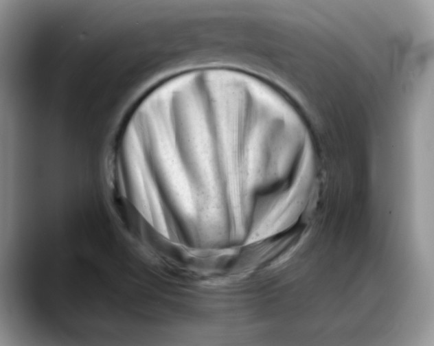 X0000088441510200706121459