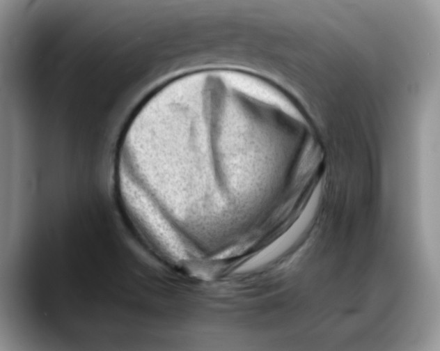 X0000088441511200706121459